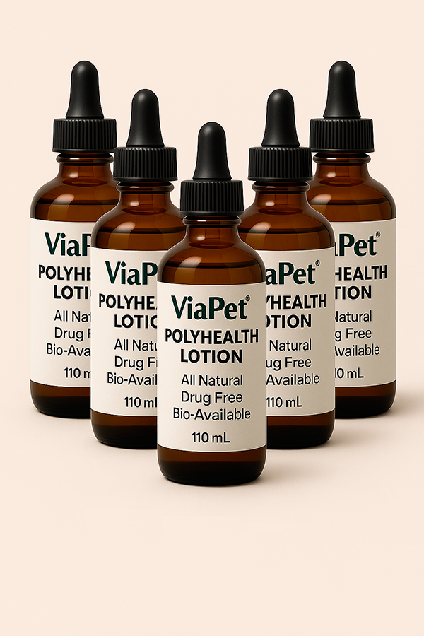 Polybottle Six-pack (6 bottles)